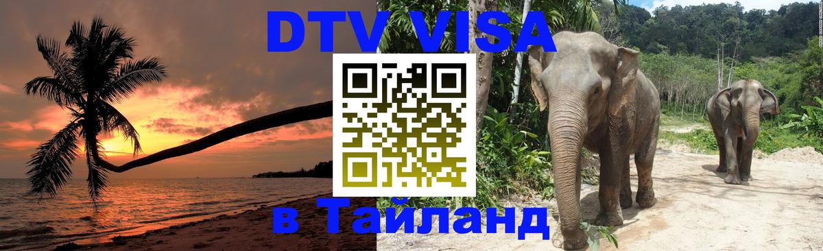 Сколько стоит DTV виза — актуальные цены, оформление даже без документов - 